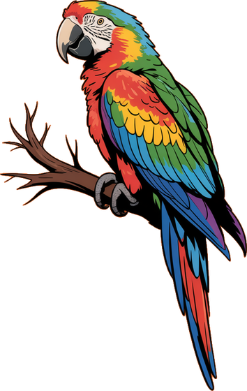 Colorful parrot design